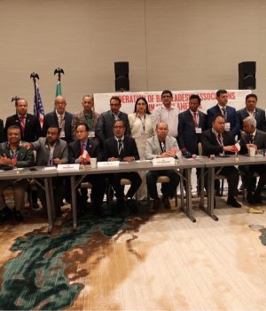 AGM 6